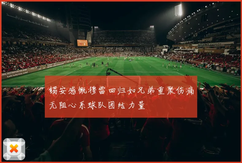 锡安感慨穆雷回归如兄弟重聚伤痛无阻心系球队团结力量